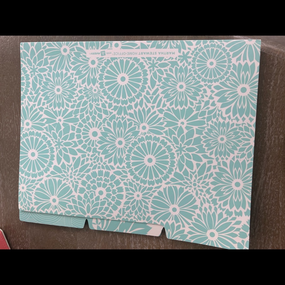 Diviser/File folders